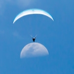 canungra cup 2017 canungra cup 2017 • <a style="font-size:0.8em;" href="http://www.flickr.com/photos/49385936@N04/37948867516/" target="_blank">View on Flickr</a>